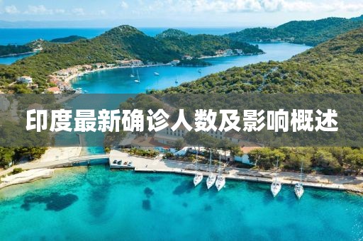 印度最新確診人數及影響概述