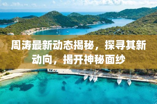 周濤最新動態揭秘，探尋其新動向，揭開神秘面紗