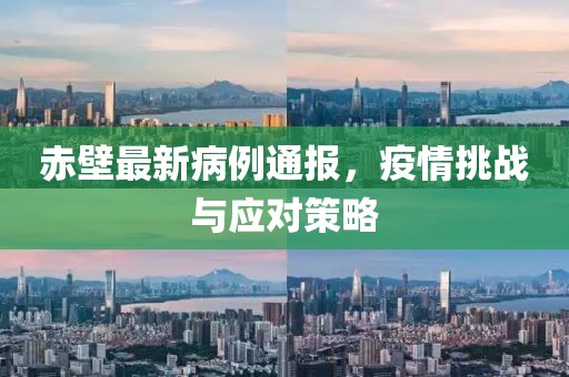 赤壁最新病例通報，疫情挑戰與應對策略
