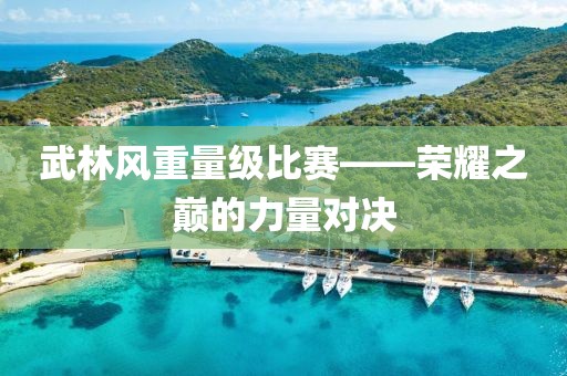 武林風重量級比賽——榮耀之巔的力量對決