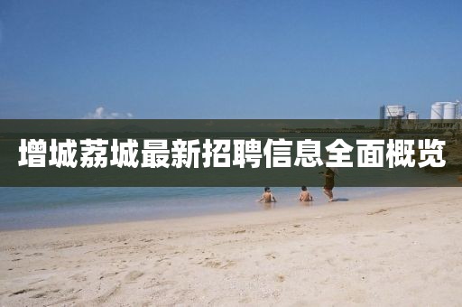增城荔城最新招聘信息全面概覽