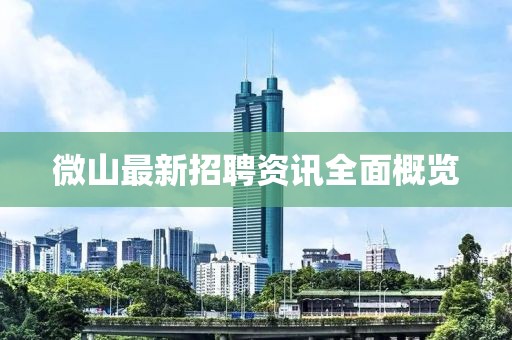 微山最新招聘資訊全面概覽
