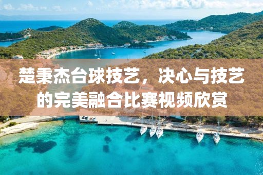 楚秉杰臺球技藝，決心與技藝的完美融合比賽視頻欣賞
