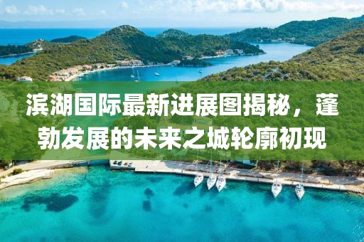 濱湖國際最新進展圖揭秘，蓬勃發展的未來之城輪廓初現