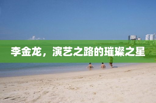 李金龍，演藝之路的璀璨之星