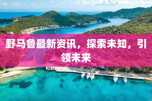 野馬魯最新資訊，探索未知，引領未來