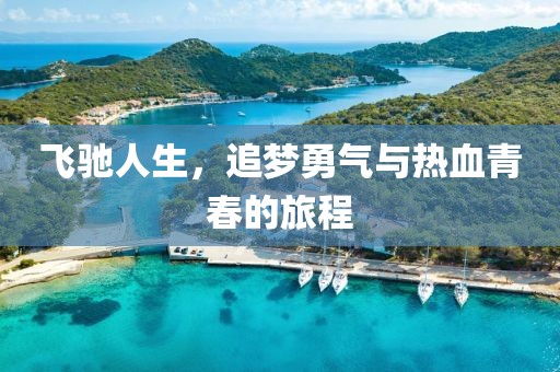 飛馳人生，追夢勇氣與熱血青春的旅程