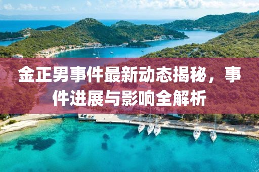金正男事件最新動態揭秘，事件進展與影響全解析