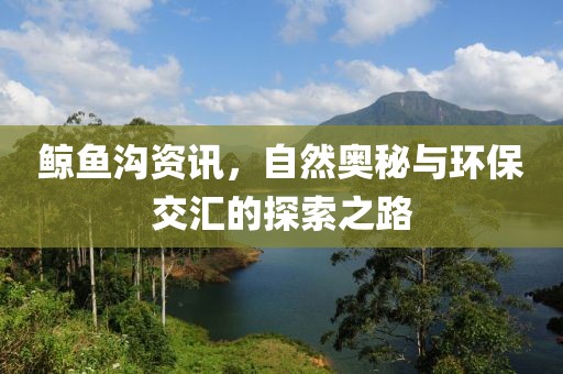 鯨魚溝資訊，自然奧秘與環保交匯的探索之路