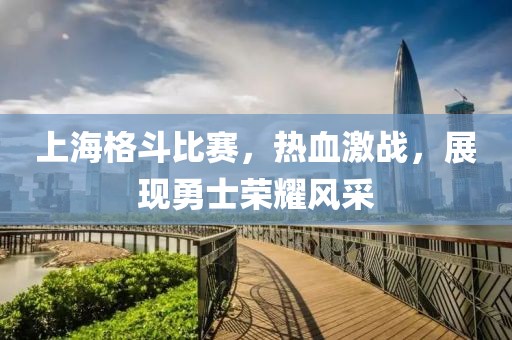 上海格斗比賽，熱血激戰，展現勇士榮耀風采