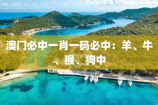 澳門必中一肖一碼必中：羊、牛、猴、狗中