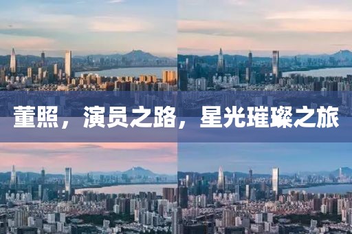 董照，演員之路，星光璀璨之旅