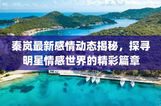 秦嵐最新感情動態揭秘，探尋明星情感世界的精彩篇章
