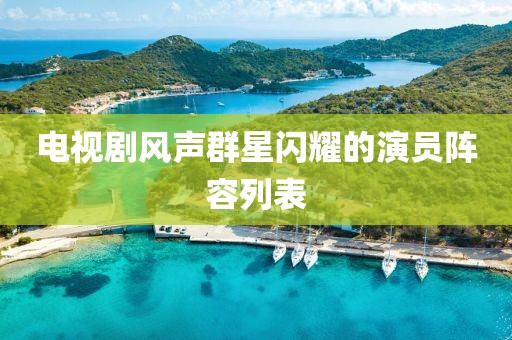 電視劇風聲群星閃耀的演員陣容列表