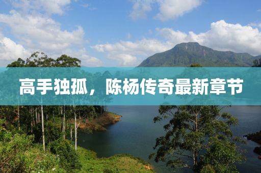高手獨孤，陳楊傳奇最新章節