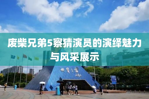 廢柴兄弟5察猜演員的演繹魅力與風采展示