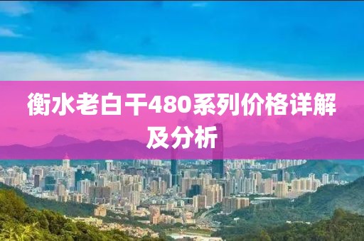 衡水老白干480系列價格詳解及分析