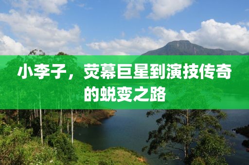 小李子，熒幕巨星到演技傳奇的蛻變之路