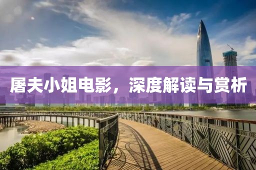 屠夫小姐電影，深度解讀與賞析