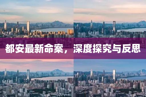 都安最新命案，深度探究與反思