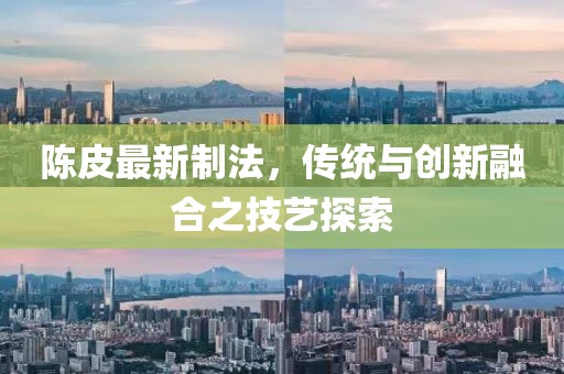 陳皮最新制法，傳統與創新融合之技藝探索