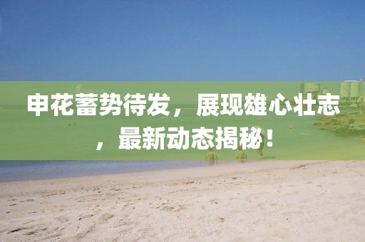 申花蓄勢待發，展現雄心壯志，最新動態揭秘！
