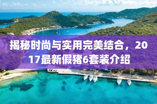 揭秘時尚與實用完美結合，2017最新假豬6套裝介紹