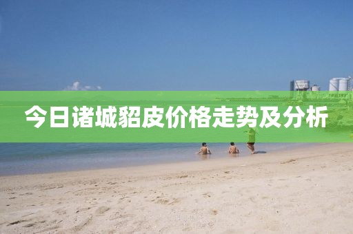 今日諸城貂皮價格走勢及分析