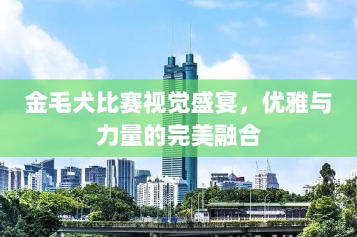 金毛犬比賽視覺盛宴，優雅與力量的完美融合