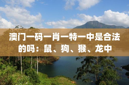 澳門一碼一肖一特一中是合法的嗎：鼠、狗、猴、龍中