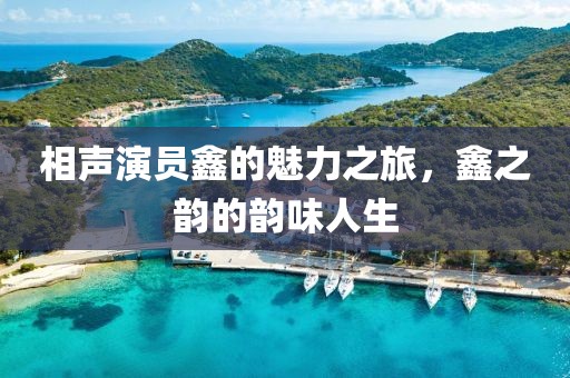 相聲演員鑫的魅力之旅，鑫之韻的韻味人生