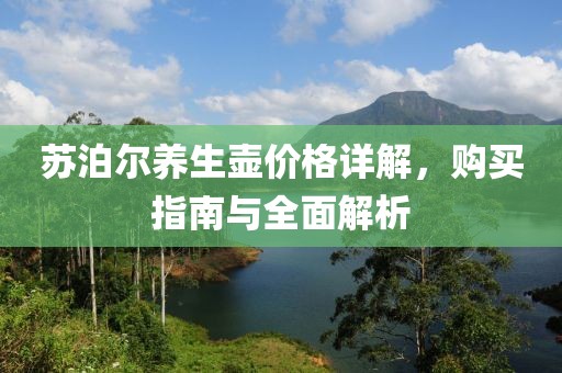 蘇泊爾養生壺價格詳解，購買指南與全面解析