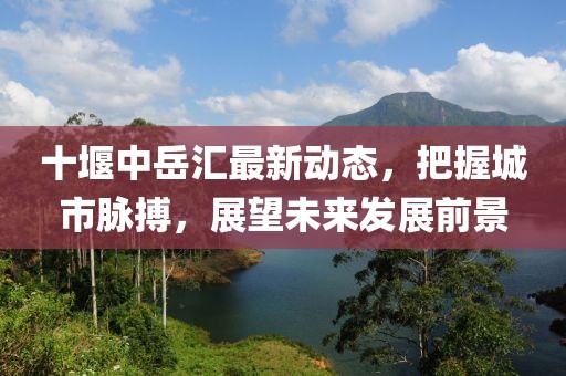十堰中岳匯最新動態，把握城市脈搏，展望未來發展前景