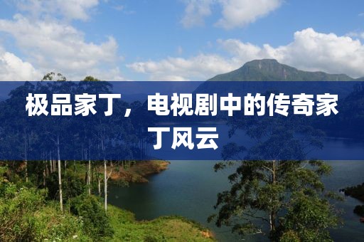 極品家丁，電視劇中的傳奇家丁風云