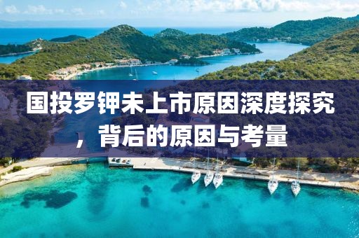 國投羅鉀未上市原因深度探究，背后的原因與考量