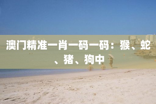 澳門精準一肖一碼一碼：猴、蛇、豬、狗中