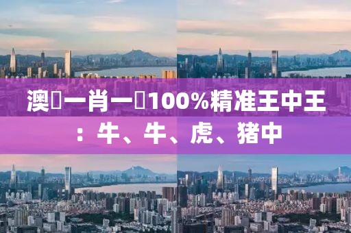公司簡介 第584頁