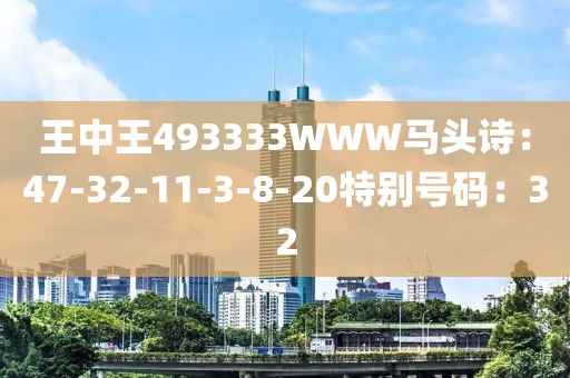 王中王493333WWW馬頭詩：47-32-11-3-8-20特別號碼：32