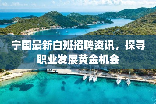 寧國最新白班招聘資訊，探尋職業發展黃金機會