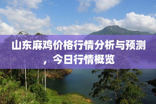 山東麻雞價格行情分析與預測，今日行情概覽