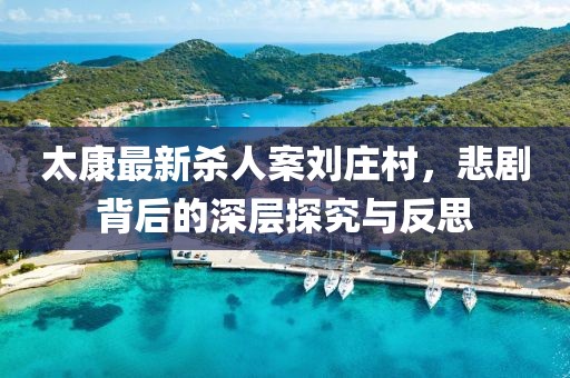 太康最新殺人案劉莊村，悲劇背后的深層探究與反思