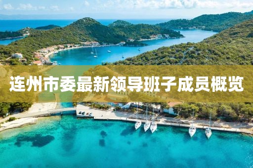 連州市委最新領導班子成員概覽