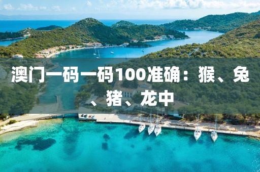 澳門一碼一碼100準確：猴、兔、豬、龍中