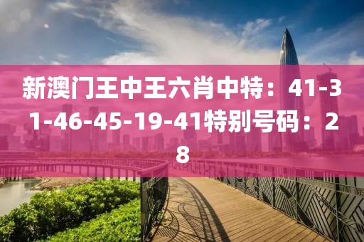 新澳門王中王六肖中特：41-31-46-45-19-41特別號碼：28