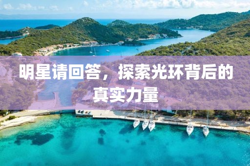 明星請回答，探索光環背后的真實力量