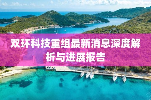 雙環科技重組最新消息深度解析與進展報告