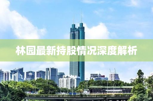 林園最新持股情況深度解析