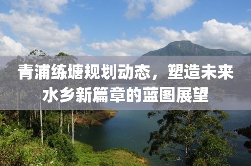 青浦練塘規劃動態，塑造未來水鄉新篇章的藍圖展望