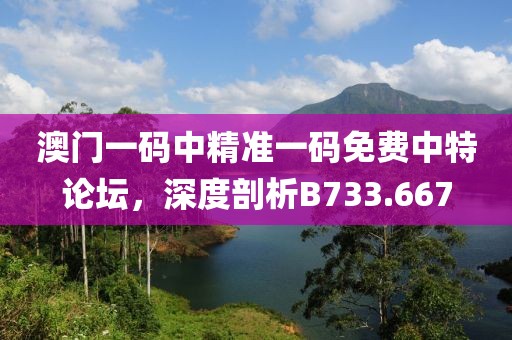 澳門一碼中精準一碼免費中特論壇，深度剖析B733.667