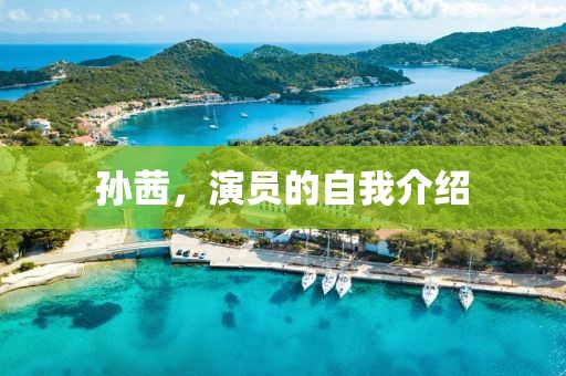 孫茜，演員的自我介紹